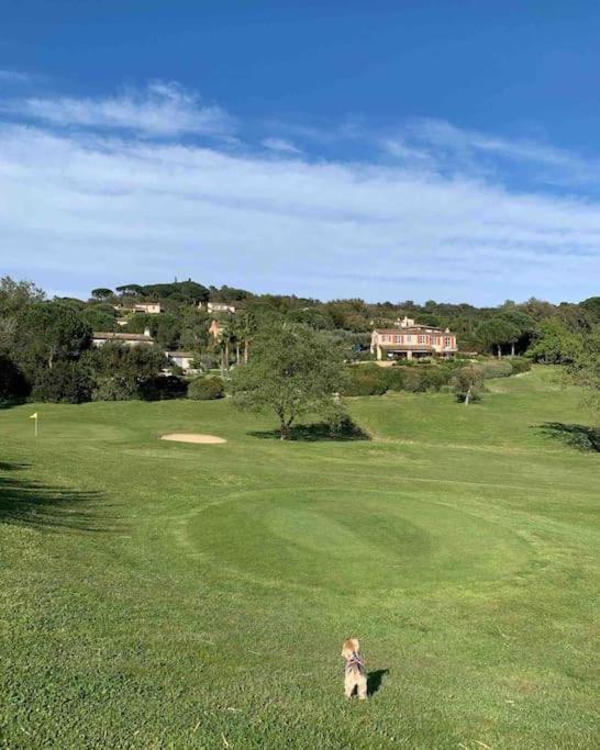 Maison Classee Sur Le Golfe De St Tropez Saint-Tropez Exterior photo